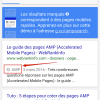 Pages AMP dans résultats Google