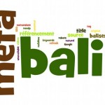 Les balises meta