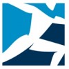 Boston Dynamics (logo)