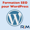 Formation SEO pour WordPress