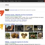 Google Personal Results