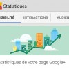 Stats Google+ Insights