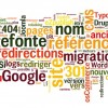 Refonte de site et referencement