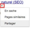 Menu déroulant d'accès au cache (SERP Google-