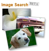 Moteur de recherche d'images d'Alexa