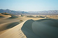 L'effet sandbox sur Google