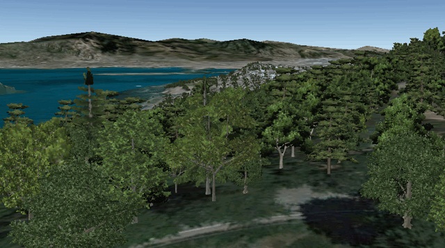 Arbre 3D Google Earth