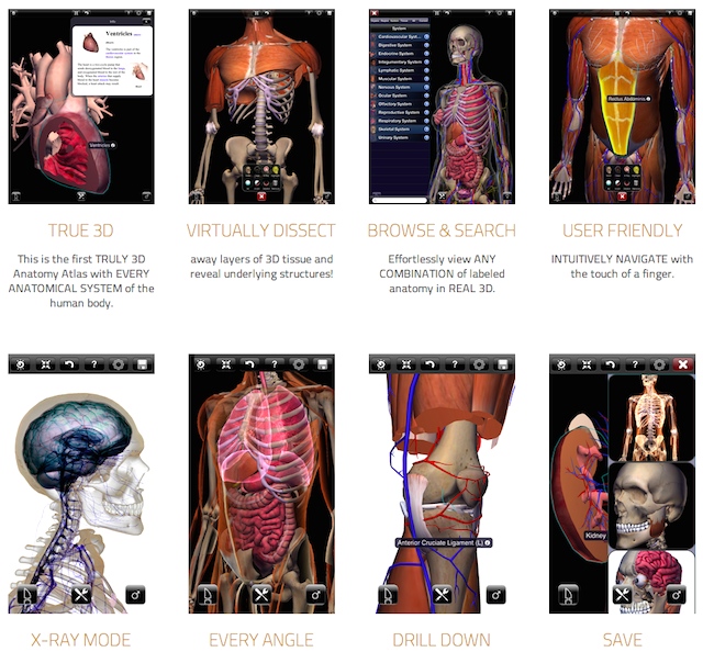 Zygote Body vue et animation 3D du corps humain