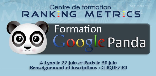 Formation referencement Google Panda