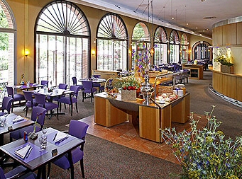 Repas au restaurant de l'hôtel Novotel ***