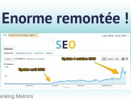 2 exemples de remontée SEO