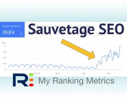 Sauvetage SEO avec RM Tech