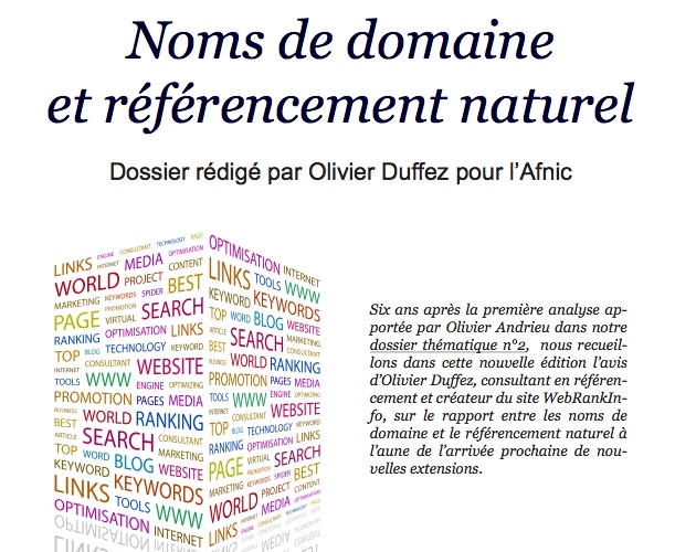 Nom de domaine et referencement