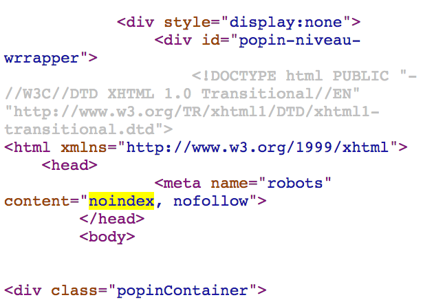 meta robots noindex dans body