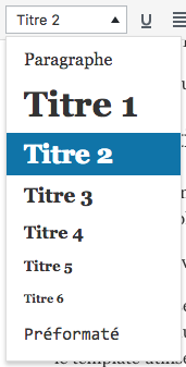 Balises h1 h6 wordpress