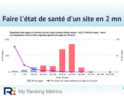 état de santé SEO d'un site