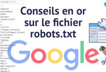 Le fichier robots.txt