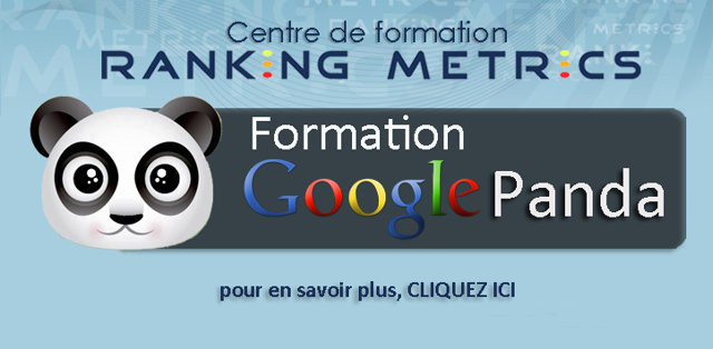 Formation Google Panda par Ranking Metrics