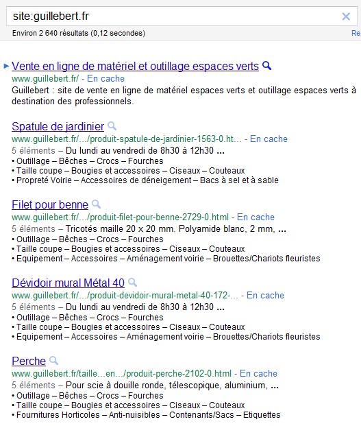 Test affichage SERP Google : liste à puces dans le snippet