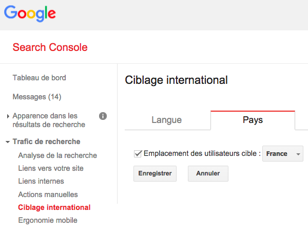 Ciblage international pays Google