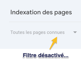 filtre désactivé dans le rapport indexation pages