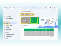 Rapport GSC d'indexation de pages
