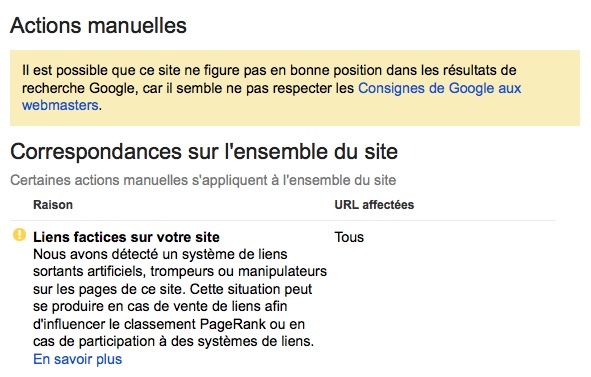 Pénalité Google ensemble du site