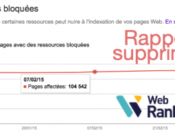 Suppression des ressources bloquées dans Search Console