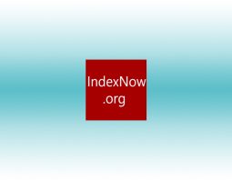 Dossier sur IndexNow