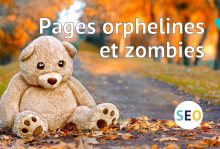 Dossier pages orphelines et zombies