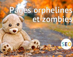 Dossier pages orphelines et zombies