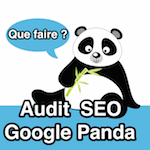 Sortir d'une pénalité Panda