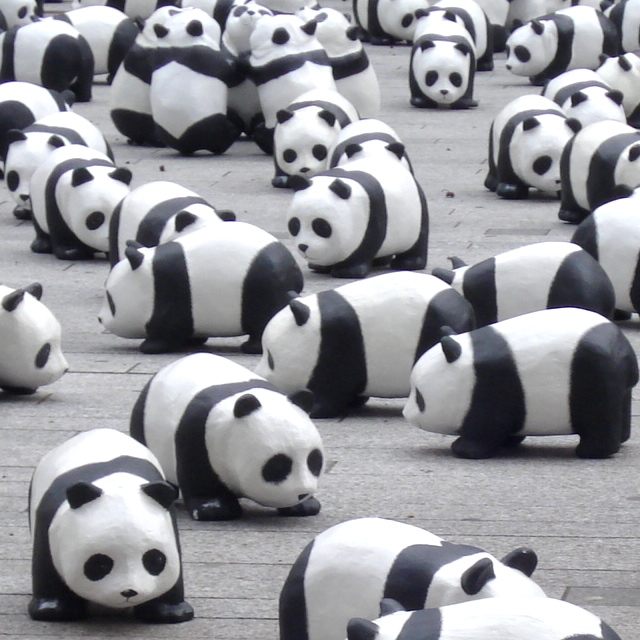 Pandas dupliqués
