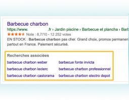 Recherches associées Google par résultat (desktop)