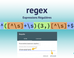 Regex pour SEO