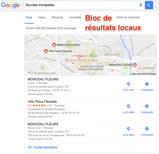 Résultats locaux Google