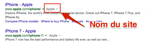 Nom du site SERP Google