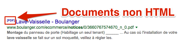 PDF dans SERP Google