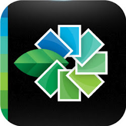 Snapseed (logo)