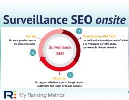 Surveillance SEO onsite