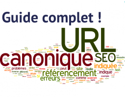 URL canonique