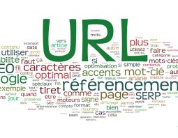 Optimisation des URL pour le référencement