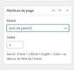 attributs de page.jpg