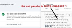 meta charset.jpg meta charset.jpg