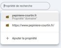 propriété de domaine en double ou pas.jpg