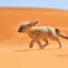 Sahara holidays