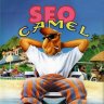 SeoCamel