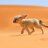Sahara holidays