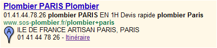 adwords-extensions-annonces-telephone.png