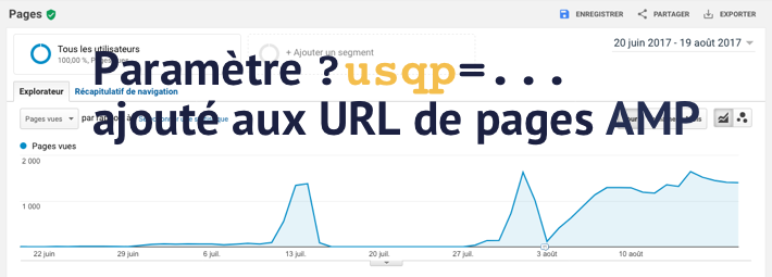 parametre-usqp-url-page-amp.png